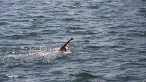 81 il valiliğine 'boğulma' genelgesi