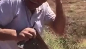 Arıcılık dede mesleği dedi, arılar saldırdı