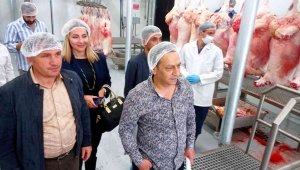 Cağ fabrikasında son rötuşlar tamamlanıyor