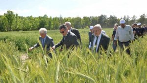 Erzurum'da 3 bin 800 svat törenle çiftçilere dağıtıldı