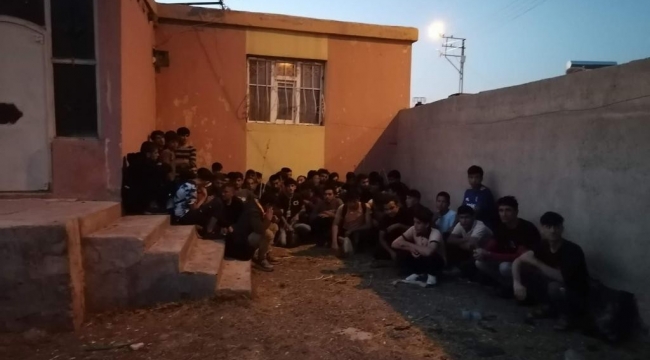 Ağrı'da 61 düzensiz göçmen yakalandı