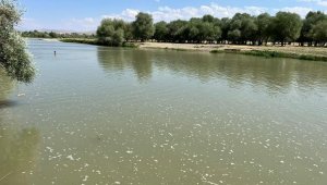 Çocuğunu kurtaran anne nehirde akıntıya kapılarak kayboldu