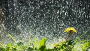 Doğu Anadolu'da sağanak yağış bekleniyor