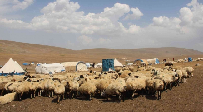 Erzurum'da 300 hane ile oba hayatı yaşayan göçerler 20 bin hayvana bakıyor