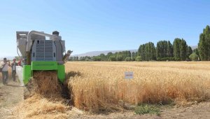 Erzurum'da hasat bayramı törenle başladı
