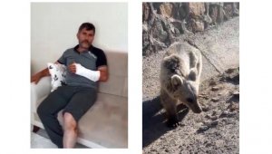 Öldüğü sandığı ayı saldırdı güreşerek hayatta kaldı