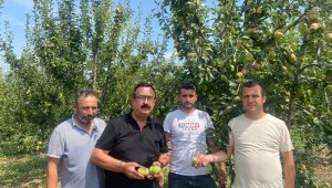 Sağanak yağış tarım ürünlerinde 30 milyon lira zarara yol açtı