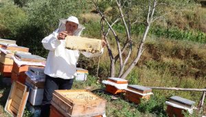 Şeker hastaları için bal üretiyor