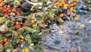 'Türkiye'de 7.7 milyon ton gıda çöpe gidiyor'