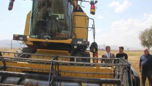 Vali Memiş'ten 'karabuğday ekin' tavsiyesi