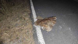 Ardahan'da peş peşe deprem: 4.2 ile sallandı, artçılar devam ediyor