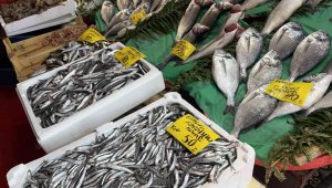 Av sezonu açıldı, tezgahlar balık doldu