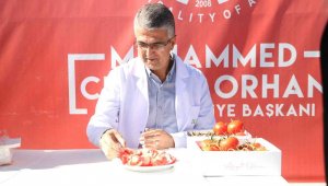 Aydın Hoca, Aziziye'nin domateslerine bayıldı