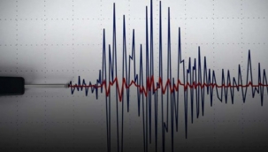 Erzurum 4.9 sallandı