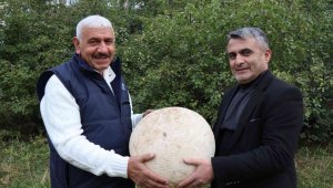 9 kiloluk mantar görenleri şaşırttı