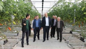 Aziziye'nin domates seralarına ESTP ziyareti