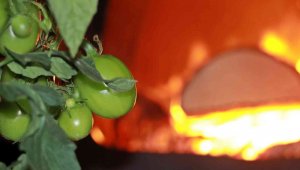 Erzincan, Bayburt, Erzurum ve Ardahan için zirai don uyarısı