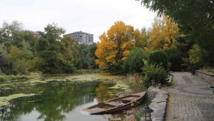 Erzurum'da sonbaharda kartpostallık görüntüler oluştu