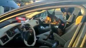 Narkotik köpeği Eris uyuşturucuya geçit vermedi