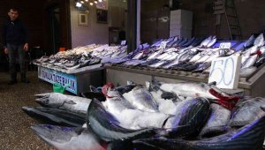 Palamut bir var bir yok