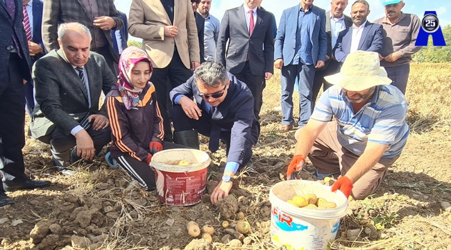 Vali Memiş çiftçiyle tarlada patates topladı