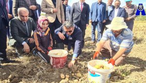 Vali Memiş çiftçiyle tarlada patates topladı