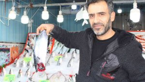 Balıkta bereket yılı