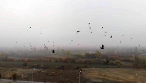 Doğu'da sis ve pus etkili oldu