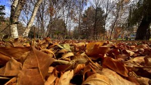 Erzurum'da sonbahar manzarası 