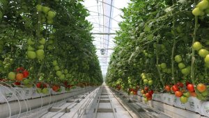 Jeotermal seracılığa KUDAKA'dan yeşil destek