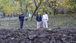 Karnavas pekmezine fidan desteği