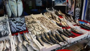 Palamut avında düşüş, diğer balık çeşitlerinin avında ise artış yaşanıyor