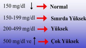 Türkiye'de her 10 kişiden 3'ünde...