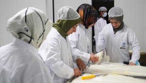 Yöresel süt ürünleri imalatında kapasite artıyor