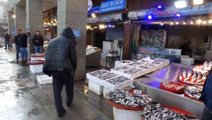 Hamsi sezonun en yüksek fiyatını gördü