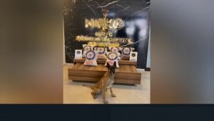 İran'dan getirilen uyuşturucu Eris'e takıldı