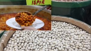 Ümraniye'de tanıtılacak