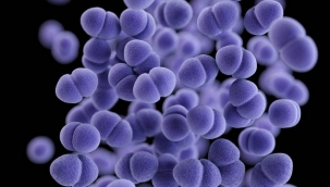 Bakanlıktan Strep-A Uyarısı