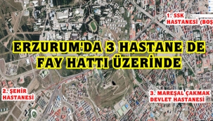 TESADÜFÜN BÖYLESİ