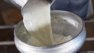 İspir'de soğuk süt projesi