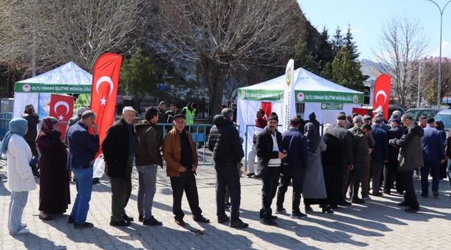 Oltu'da fidan dağıtımı