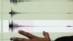 Erzurum'da hafif şiddetli depremler