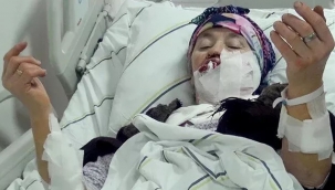 Tortum Kireçli'de kurt saldırdı