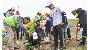 Yakutiye'den fidan dikimi