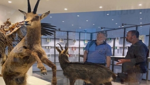 Biyoçeşitlilik Bilim Müzesinde Araştırma