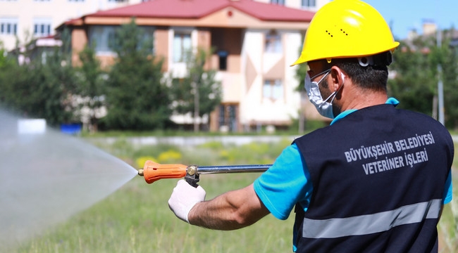 Büyükşehir'den ilaçlama çalışması