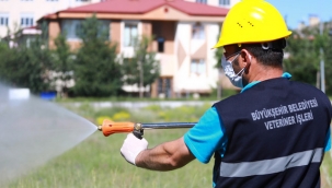 Büyükşehir'den ilaçlama çalışması
