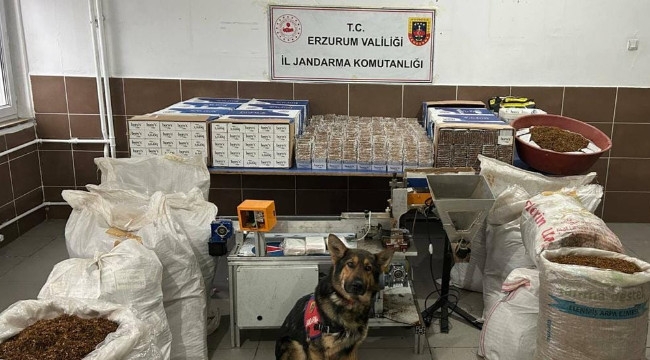 Erzurum'da kaçak tütün operasyonu