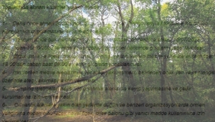 Erzurum'da ormanlık alanlara girişler yasaklandı