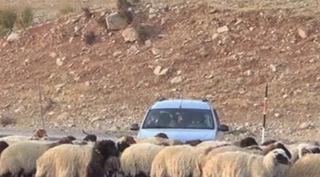 Karayazı Kaymakamlığı, o cezaya açıklama yaptı